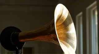 Dealing with Cracked Horns: Repair and Stabilization